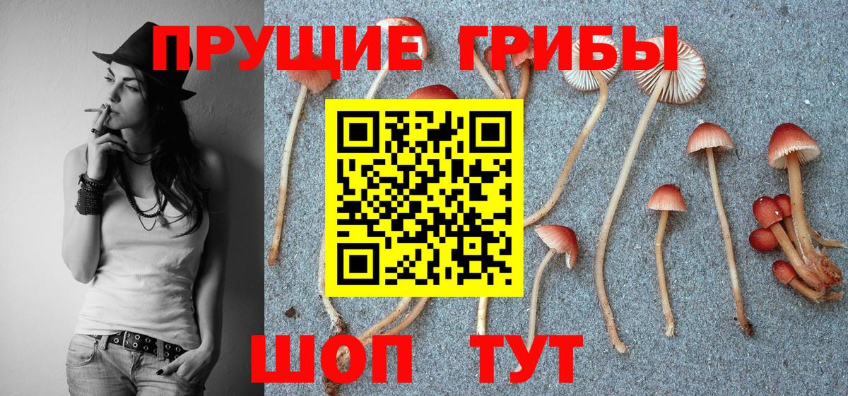 Псилоцибиновые грибы Magic Shrooms Лабытнанги
